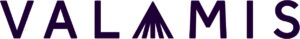 Valamis Learning Solution logo