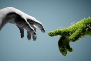 Nature-Based Solutions: Building Climate Competence With Immersive Learning
