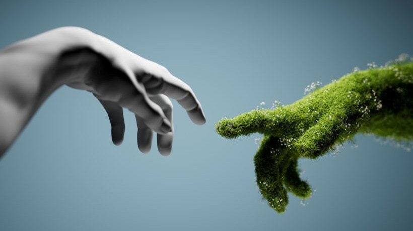 Nature-Based Solutions: Building Climate Competence With Immersive Learning