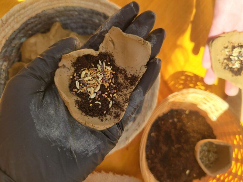 The Bee Camp "Seed Bombs"