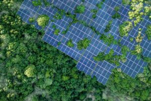 How EcoVadis Built An Award-Winning Academy