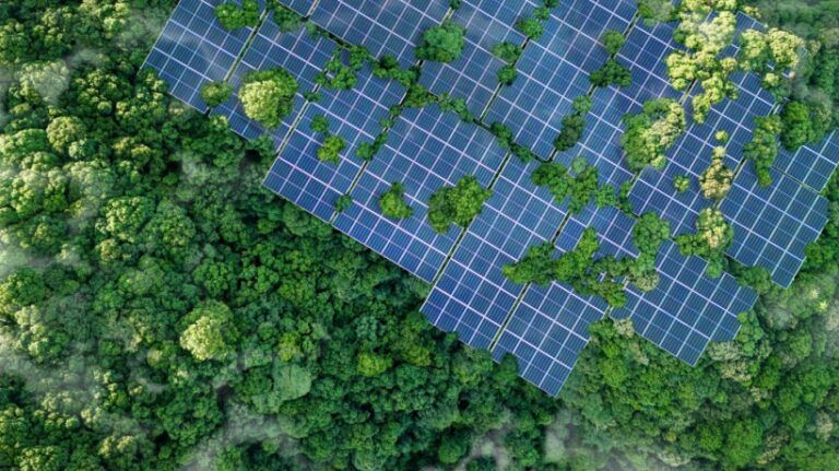 How EcoVadis Built An Award-Winning Academy