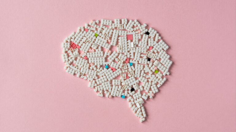 How The Brain Builds Knowledge: A Guide For eLearning Pros