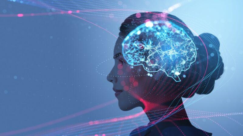 How The Brain Decides To Pay Attention