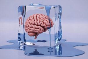 Learners In Freeze Response: Everything You Need To Know