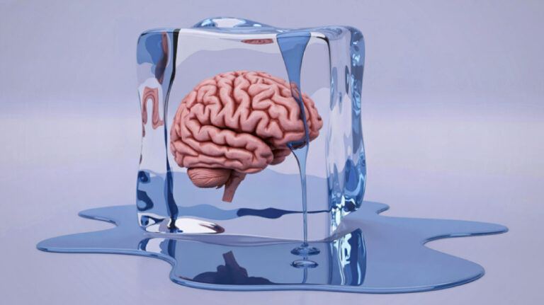 Learners In Freeze Response: Everything You Need To Know