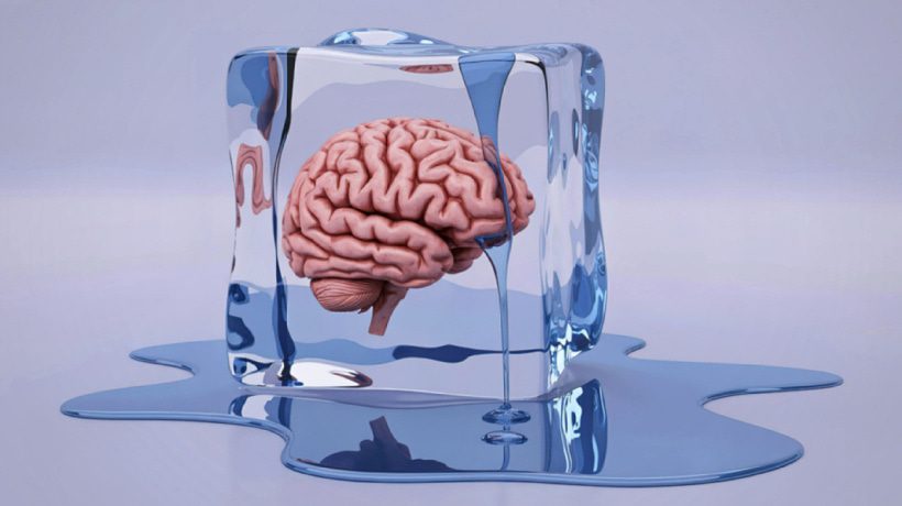 Learners In Freeze Response: Everything You Need To Know