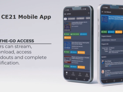 Screenshot of CE21