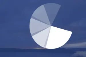 I Like Pies, So Give Me Pie Charts